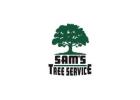 Emergency Tree Service​ Rohnert Park