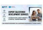 Top Salesforce Development Company for Business Growth