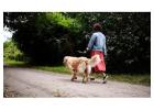 Dog Walkers in