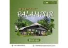 Best Resorts in Palampur for Nature Lovers