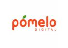 Best Digital Marketing & Branding Agency in Gurgaon | Pomelo Digital