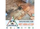 Restoration Companies Orlando FL