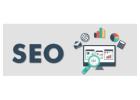 Best Search Engine Optimization Experts for Indian Businesses