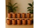 Orchid Pot for Sale – Find the Perfect Home for Your Orchids