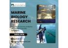 Marine Biology Research South Africa