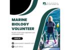 Marine Biology Volunteer South Africa