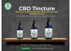 CBD tincture: Perfect for beginners and daily users