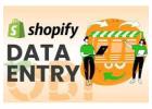 Shopify Data Entry Services for Accurate Product Updates