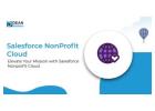 Salesforce Nonprofit Cloud Consultancy Services
