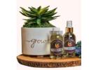 texas candle company