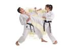 Taekwondo Chester Hill: Expert Martial Arts Training
