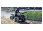 Go Karts for Sale | Off-Road Go Karts, Dune Drift Buggies & BMI Kit on Best Price | Adult Carts Raci