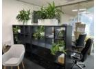 Plant Pots Melbourne – Stylish Pots for Every Space