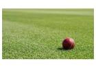 Cricket Turf Manufacturer for Professional Playing Surfaces
