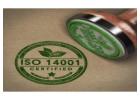 How Much Should You Expect to Invest in Environmental Certification?