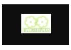 Graduation Flowers Melbourne | Same Day Flower Delivery