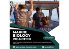 Marine Biology Volunteer South Africa