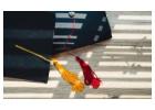Graduation Cords Meaning: Colors, Honors, and Academic Recognition