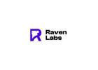 Web Development - Raven Labs Australia