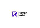 Google Adwords Management Services - Raven Labs