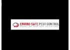 Wasp removal Melbourne