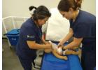 CPR Certification Augusta GA: Begin Your Training Today