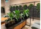 Plant Hire Melbourne for Fresh and Stylish Workspaces