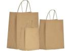Kraft Bag Case – 500pc | Bulk Packaging Solution for Retailers