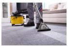 Refresh Your Carpets with Expert Steam Cleaning in Allentown, PA