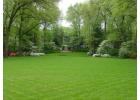 Premium Natural Lawn Grass for Lush Green Spaces