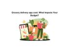 Grocery delivery app cost: What Impacts Your Budget?