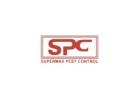 Trusted Pest Control Support for Homes in Navi Mumbai