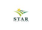 Celebration Sod for Healthy Florida Lawns | Star Turf Farms