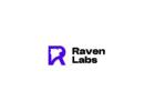 Seo Services In Australia - Raven Labs