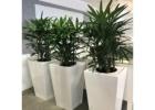 Quality Planters Melbourne for Homes and Gardens