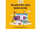 Hire Magento SEO Services to Bring More Customers to Your Store